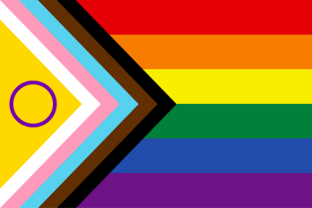 lgbtqia+ flag